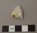 Projectile point