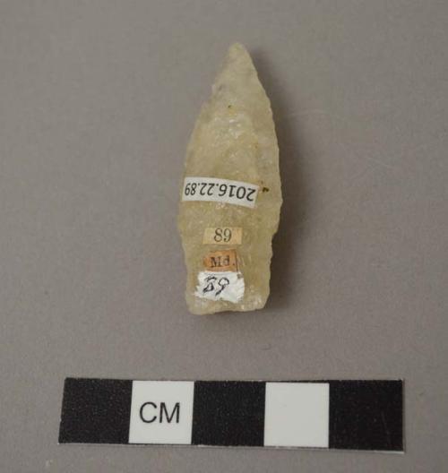 Projectile point