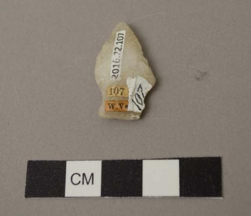 Projectile point