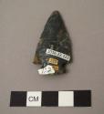 Projectile point