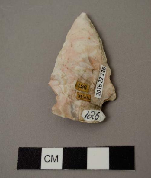 Projectile point