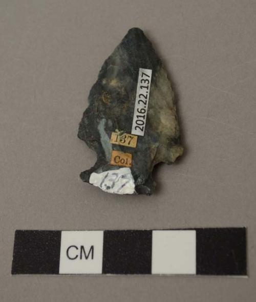 Projectile point