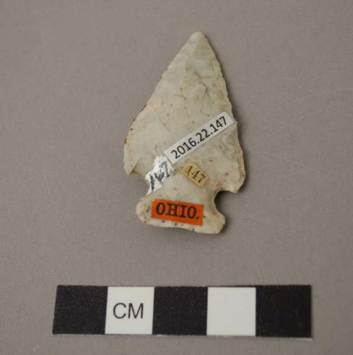 Projectile point