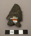 Projectile point