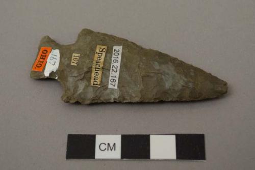 Projectile point