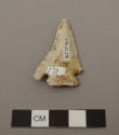 Projectile point