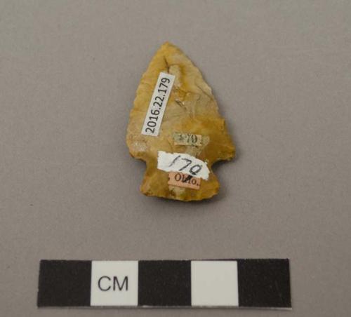 Projectile point