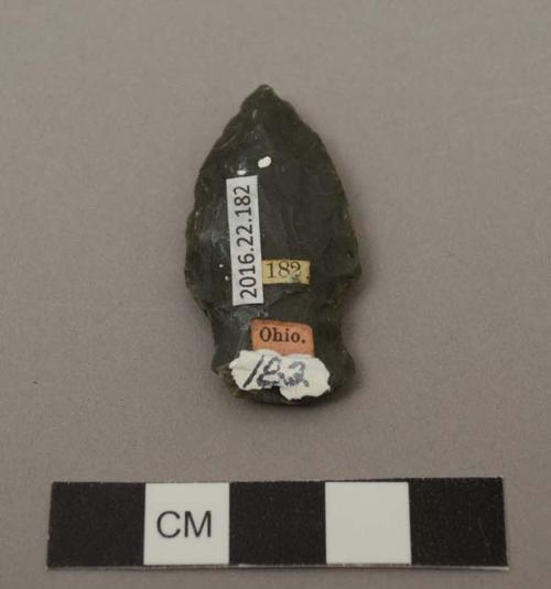 Projectile point