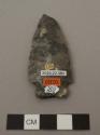 Projectile point