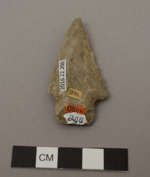 Projectile point