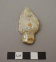 Projectile point