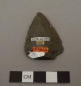 Projectile point