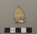 Projectile point