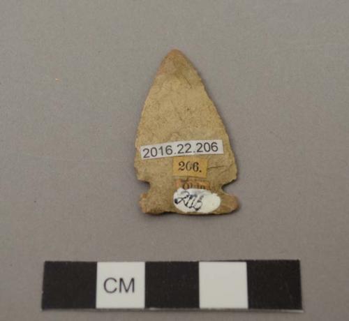 Projectile point