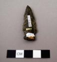 Projectile point