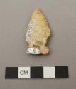 Projectile point