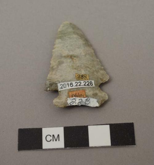 Projectile point