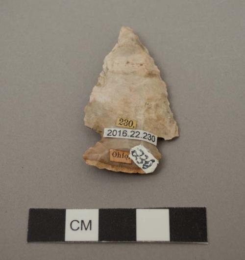 Projectile point