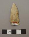 Projectile point