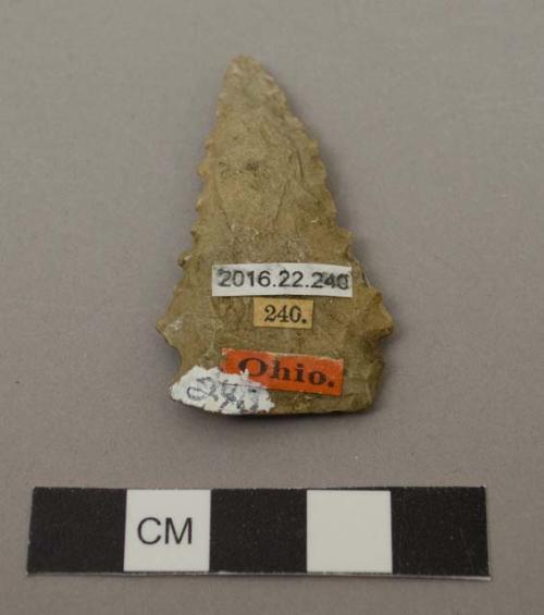 Projectile point