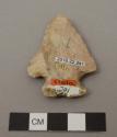 Projectile point