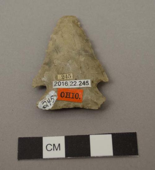 Projectile point