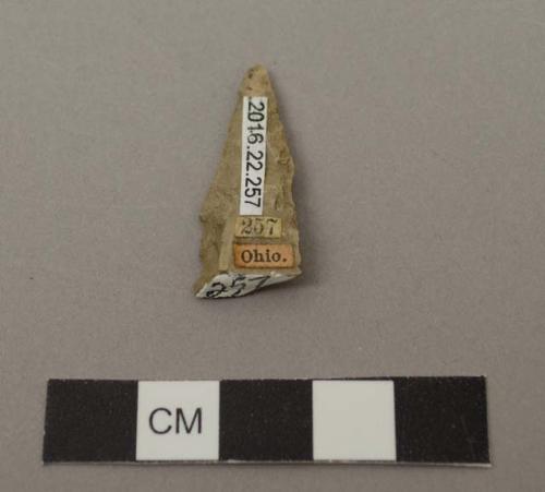 Projectile point