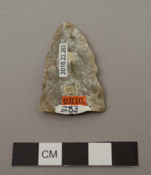 Projectile point