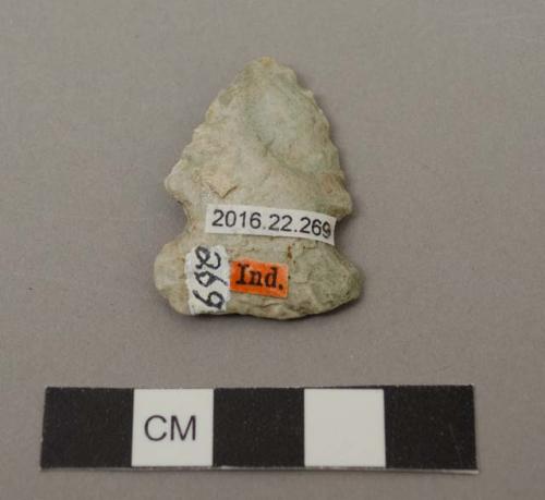 Projectile point