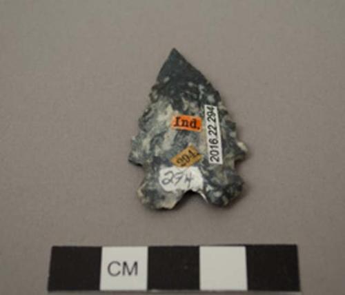 Projectile point