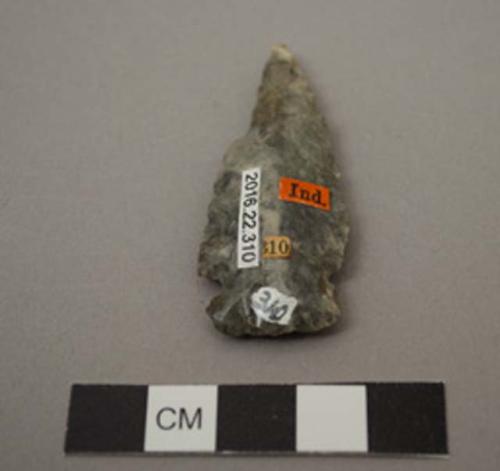 Projectile point