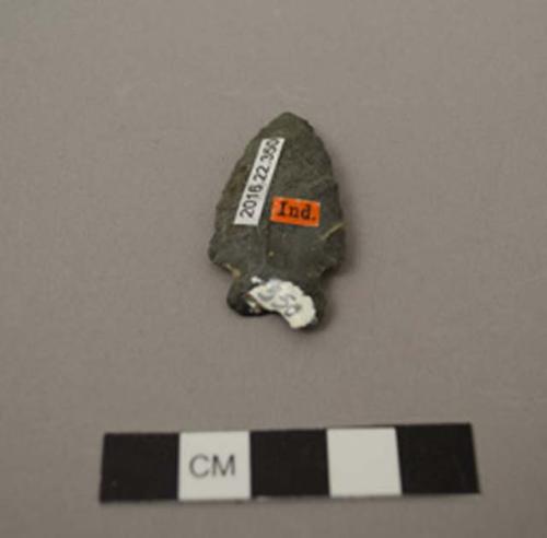 Projectile point