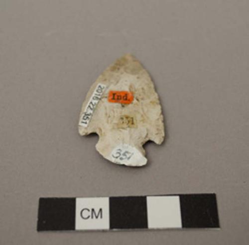 Projectile point