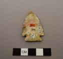 Projectile point