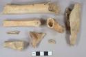 Mammal bone fragments, 1 gnawed by scavengers