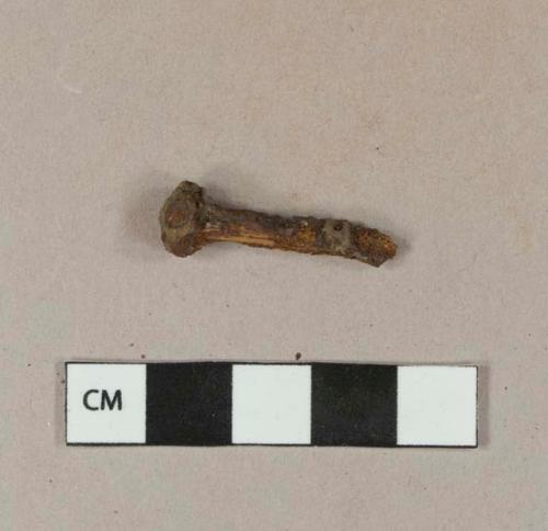 Iron screw fragment