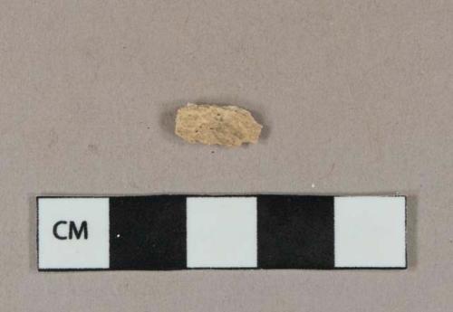 Unidentified bone fragment, likely mammal