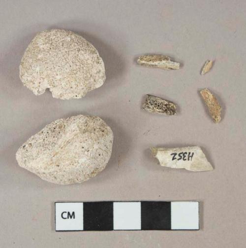 white mortar fragments, heavily burned (calcined) bone fragments