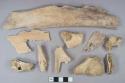 Mammal bone fragments, 2 sawn, 1 gnawed by scavengers