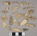 Unidentified bone fragments, 2 likely bird