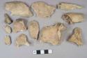 Mammal bone fragments, 3 skull fragments, 1 mandible fragments with teeth