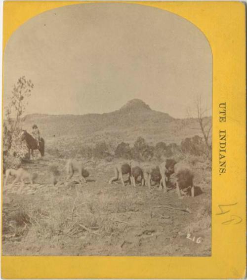 Ute Indian Game