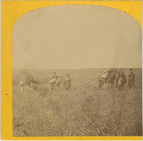 Native Americans Farming