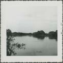 Photograph album, Yaruro fieldwork, p. 2, photo 5, view of the river