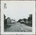 Photograph album, Yaruro fieldwork, p. 3, photo 2, dirt road