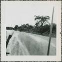 Photograph album, Yaruro fieldwork, p. 3, photo 6, taken from boat with a view of the shore