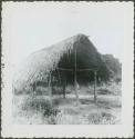 Photograph album, Yaruro fieldwork, p. 4, photo 2, wooden structure with thatched roof