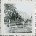 Photograph album, Yaruro fieldwork, p. 4, photo 3, wooden structure with thatched roof