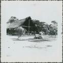 Photograph album, Yaruro fieldwork, p. 4, photo 5, wooden structure with thatched roof