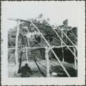 Photograph album, Yaruro fieldwork, p. 4, photo 6, wooden structure